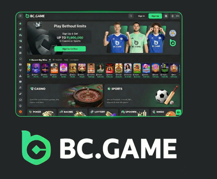 Download the BCStavka APK - Your Guide to Seamless Betting